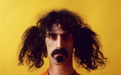 Why should you Zappa?